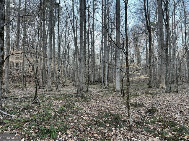 1800 Elder Mill Rd, Watkinsville, GA 30677