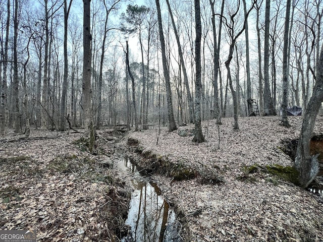 1800 Elder Mill Rd, Watkinsville, GA 30677