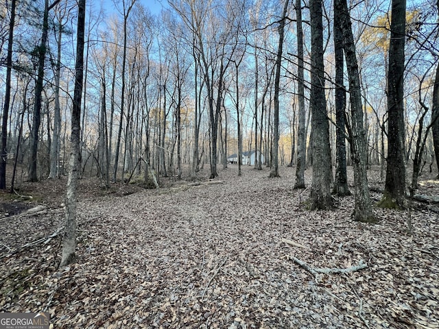 1800 Elder Mill Rd, Watkinsville, GA 30677