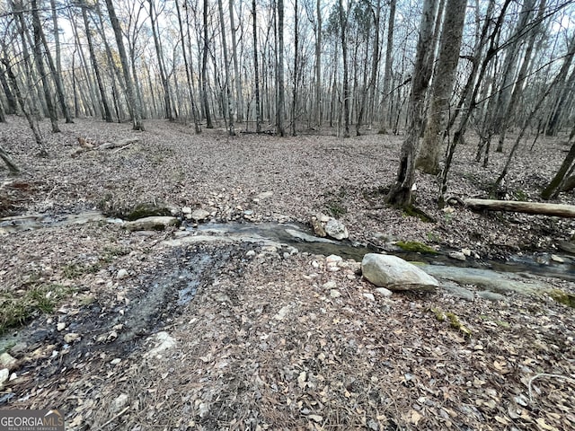 1800 Elder Mill Rd, Watkinsville, GA 30677