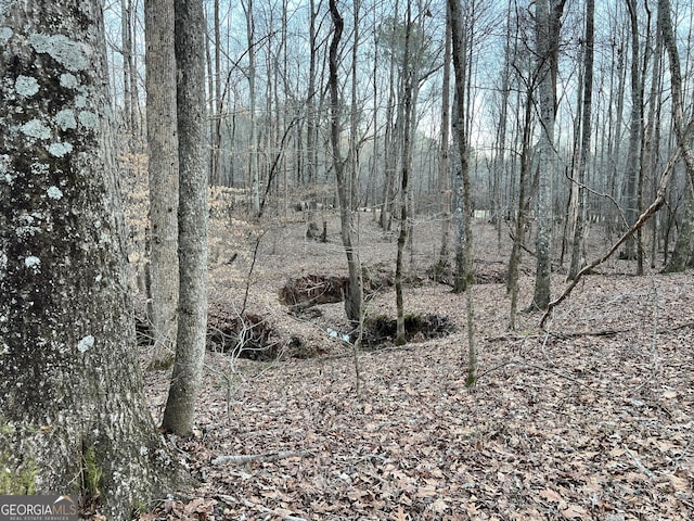 1800 Elder Mill Rd, Watkinsville, GA 30677
