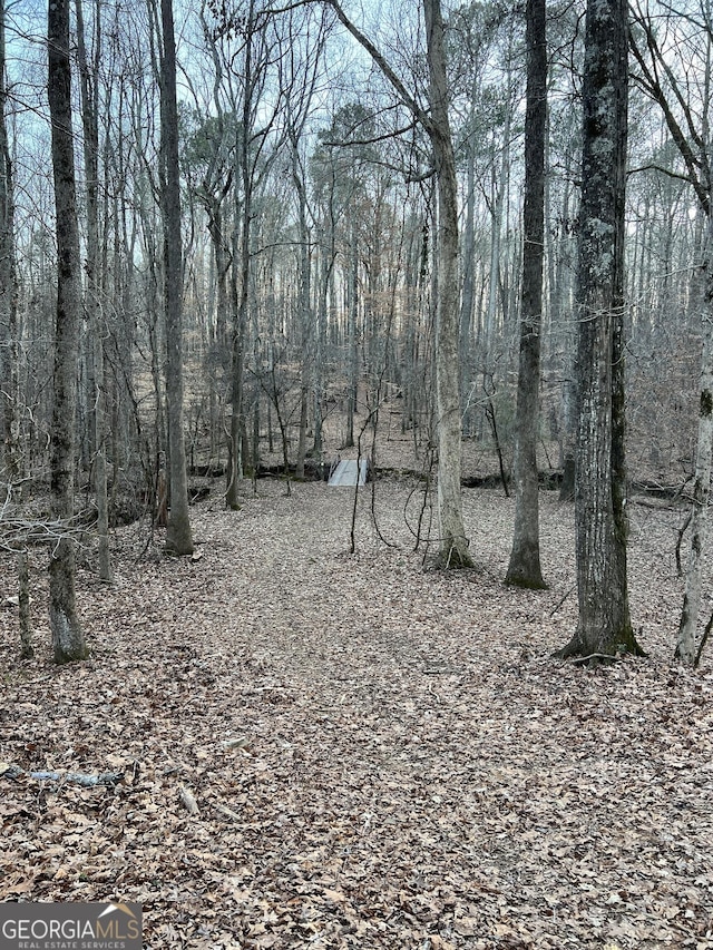 1800 Elder Mill Rd, Watkinsville, GA 30677