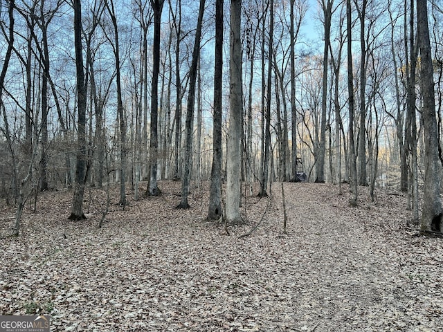 1800 Elder Mill Rd, Watkinsville, GA 30677