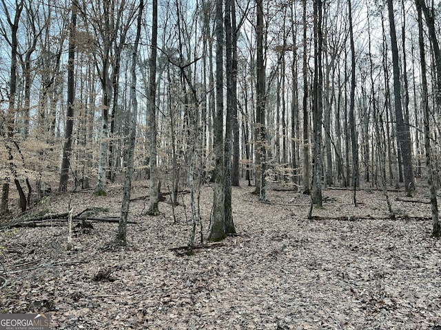 1800 Elder Mill Rd, Watkinsville, GA 30677