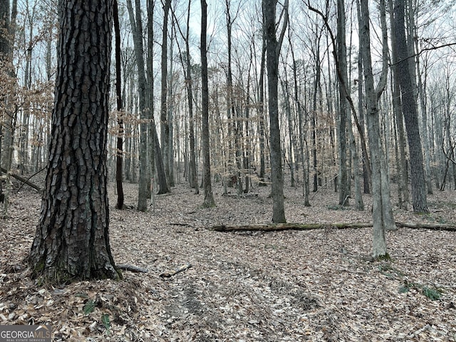 1800 Elder Mill Rd, Watkinsville, GA 30677