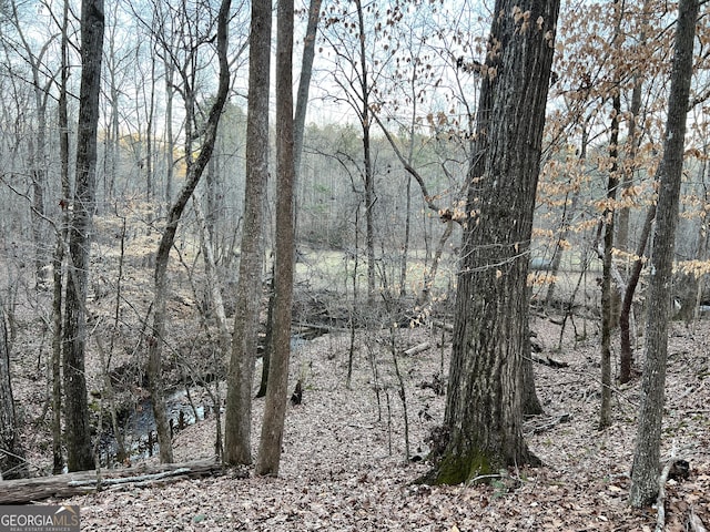 1800 Elder Mill Rd, Watkinsville, GA 30677