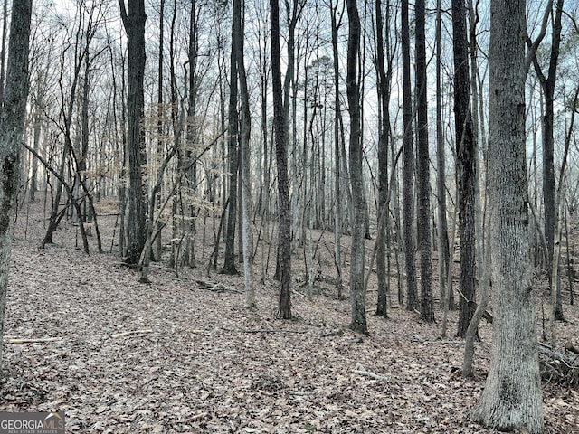 1800 Elder Mill Rd, Watkinsville, GA 30677