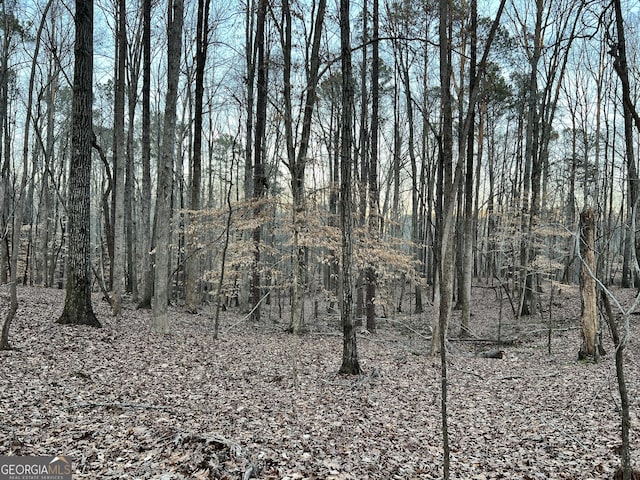 1800 Elder Mill Rd, Watkinsville, GA 30677