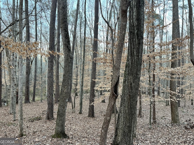 1800 Elder Mill Rd, Watkinsville, GA 30677