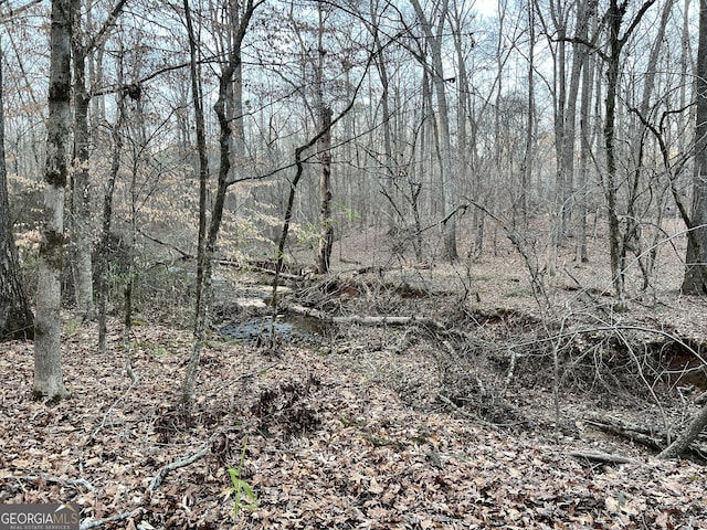 1800 Elder Mill Rd, Watkinsville, GA 30677