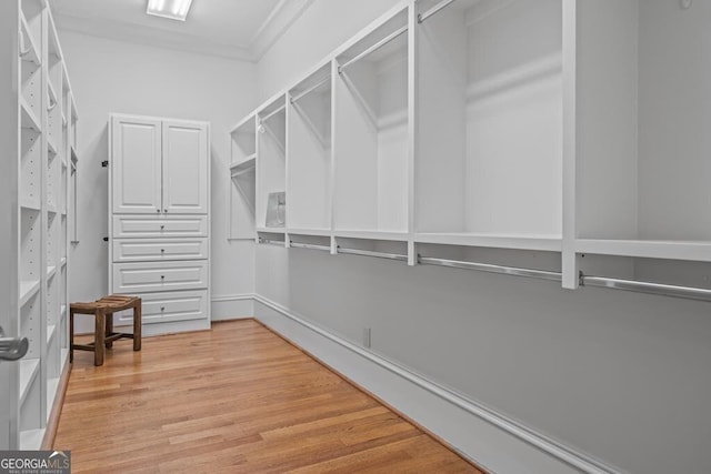 spacious closet with hardwood / wood-style flooring and mail boxes