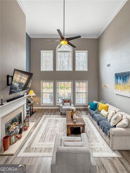 living room with ornamental molding, a fireplace, and light hardwood / wood-style floors