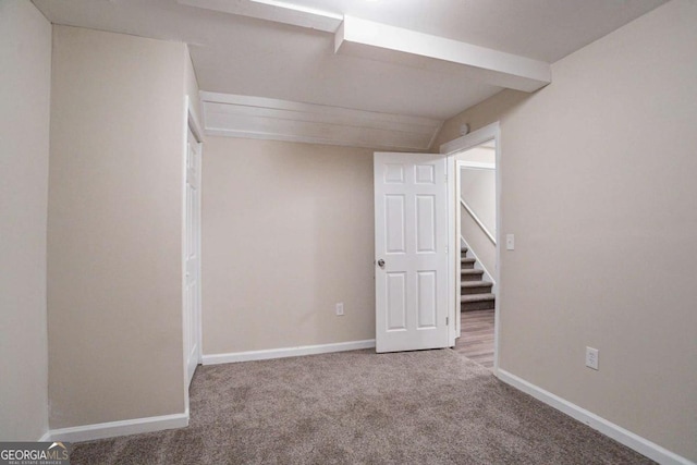 basement featuring carpet