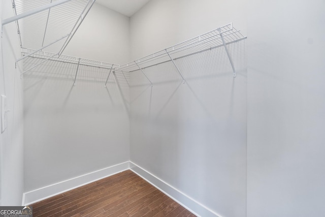 spacious closet with dark wood-style floors