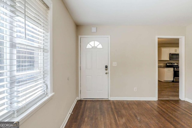 foyer entrance featuring dark hardwood / wood-style flooring and a healthy amount of sunlight