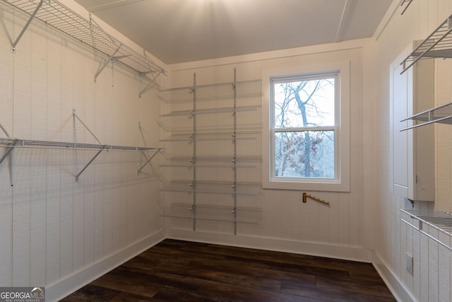 spacious closet featuring dark hardwood / wood-style flooring