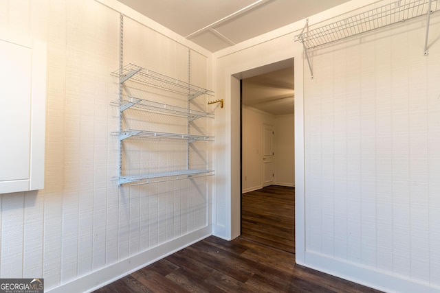 walk in closet with dark hardwood / wood-style floors