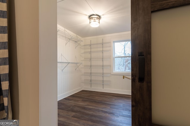 spacious closet with dark wood-type flooring