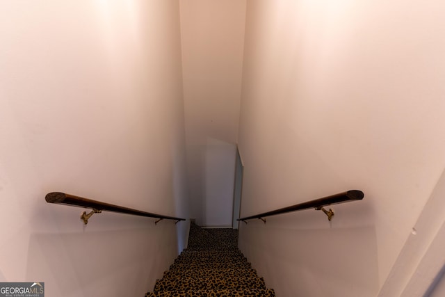 staircase featuring carpet floors