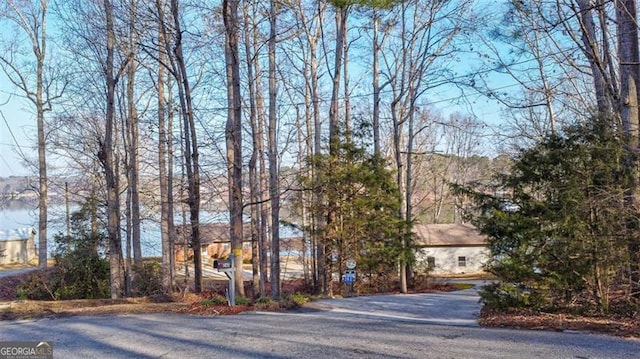 242 Herring Gull Ct, Monticello, GA 31064 - view of front of property
