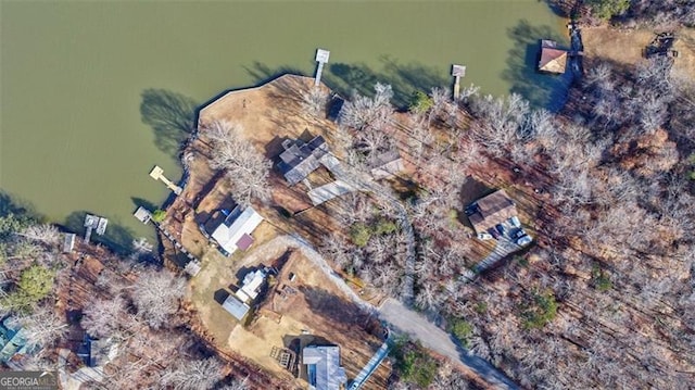 242 Herring Gull Ct, Monticello, GA 31064 - birds eye view of property