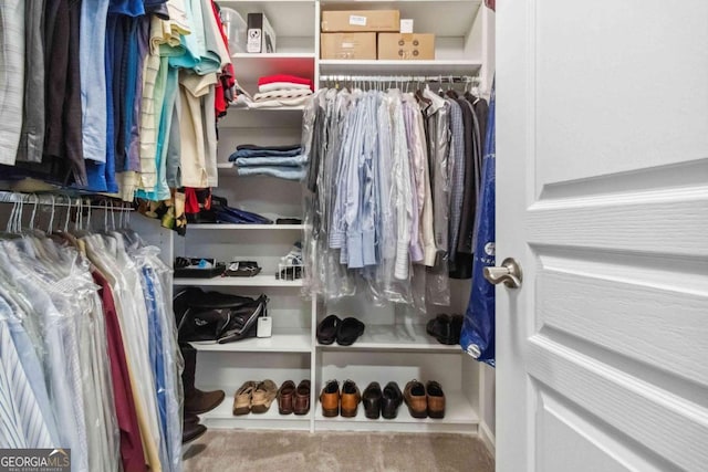 view of spacious closet