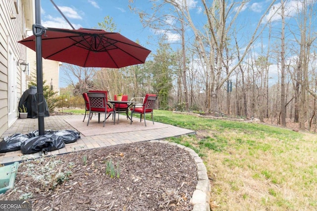 view of yard featuring a patio area