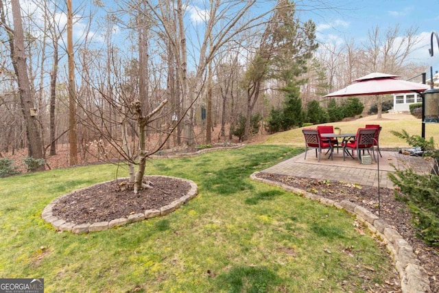 view of yard featuring a patio area