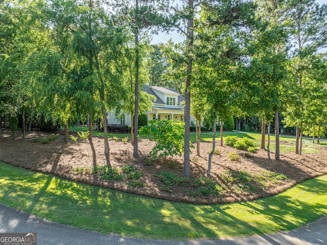 view of front of property with a front lawn