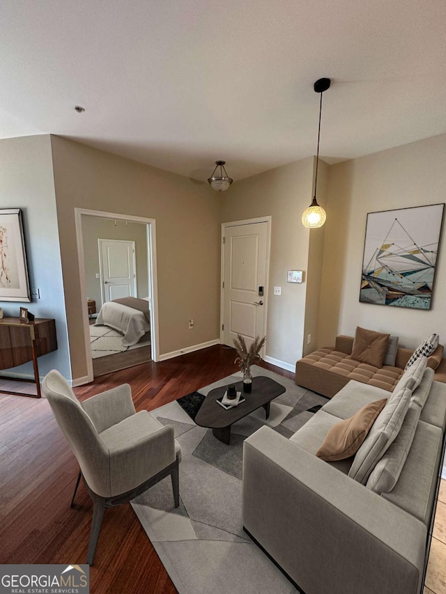 living room featuring wood-type flooring