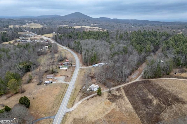 drone / aerial view with a mountain view