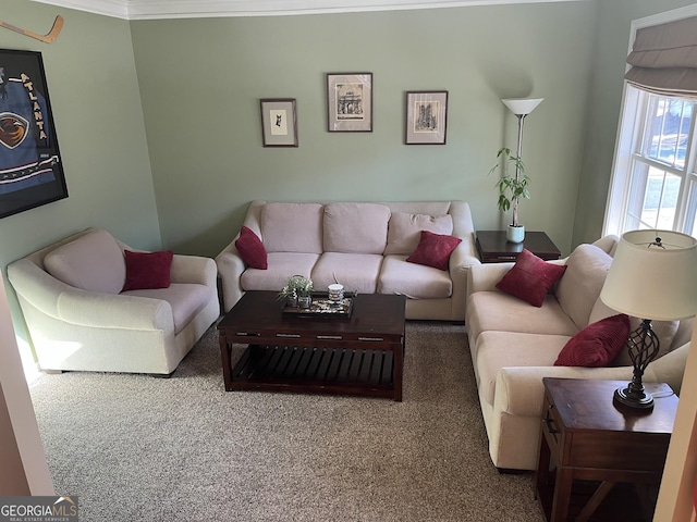 living area featuring crown molding