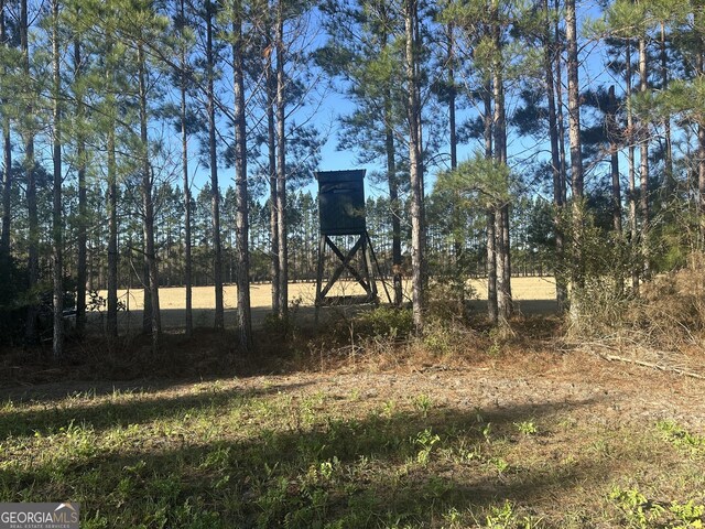 3276 Mud Rd, Brooklet, GA 30415
