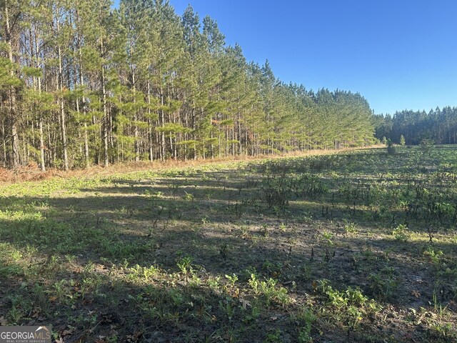 3276 Mud Rd, Brooklet, GA 30415