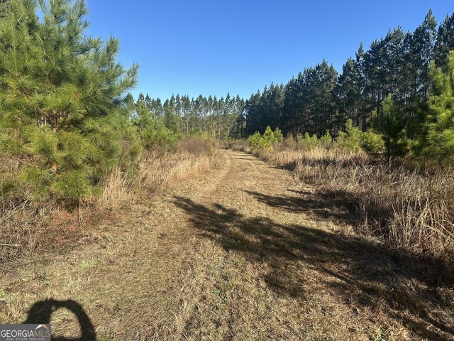 3276 Mud Rd, Brooklet, GA 30415