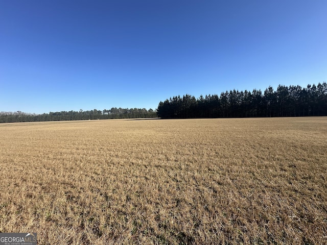 3276 Mud Rd, Brooklet, GA 30415
