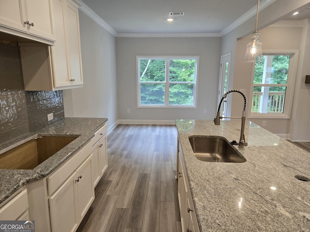 508 Clayborne Way Unit 246A, Loganville, GA 30052 - kitchen with a sink, wood finished floors, plenty of natural light, ornamental molding, and decorative backsplash