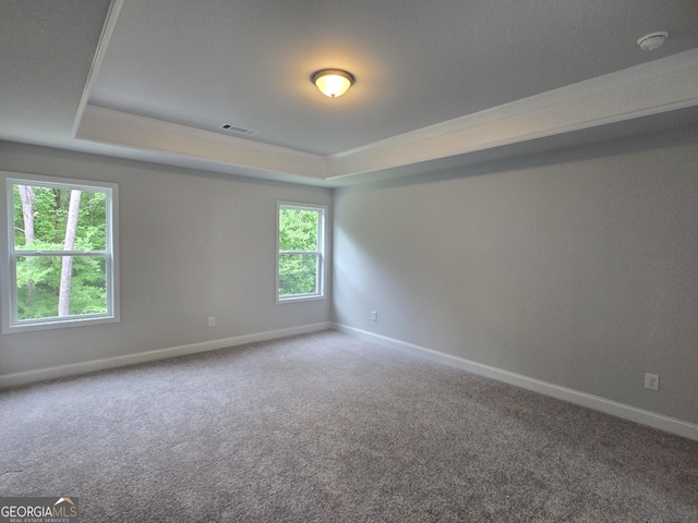 508 Clayborne Way Unit 246A, Loganville, GA 30052 - carpeted spare room featuring a raised ceiling, baseboards, and a smoke detector