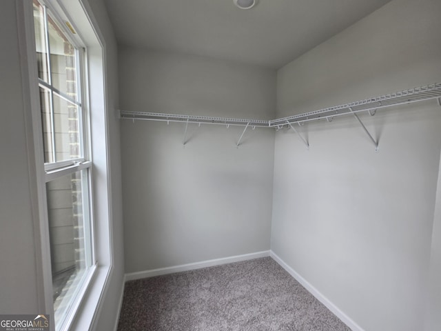 508 Clayborne Way Unit 246A, Loganville, GA 30052 - walk in closet featuring carpet