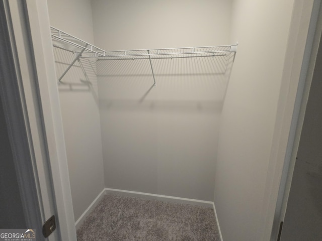 508 Clayborne Way Unit 246A, Loganville, GA 30052 - spacious closet featuring carpet flooring