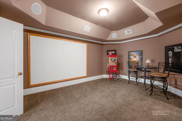 carpeted home theater featuring a tray ceiling