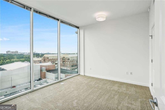 empty room with carpet flooring, baseboards, and a wall of windows