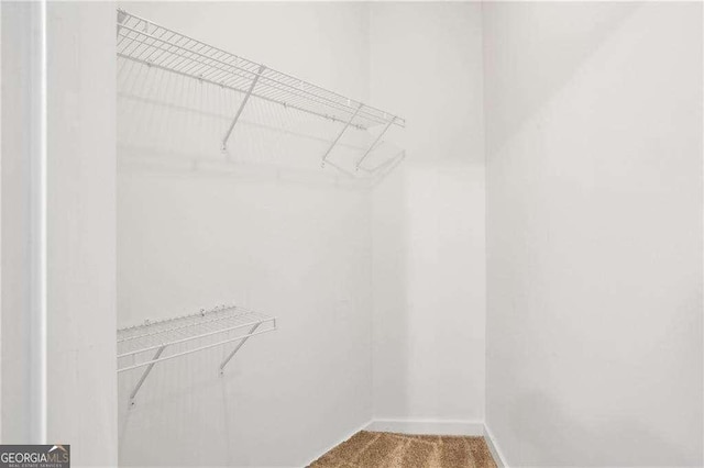 spacious closet with carpet floors