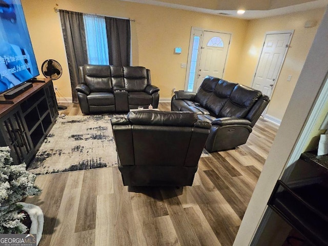 living room featuring wood-type flooring