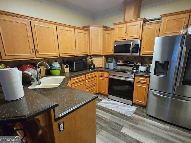 kitchen with sink, crown molding, stainless steel appliances, and kitchen peninsula