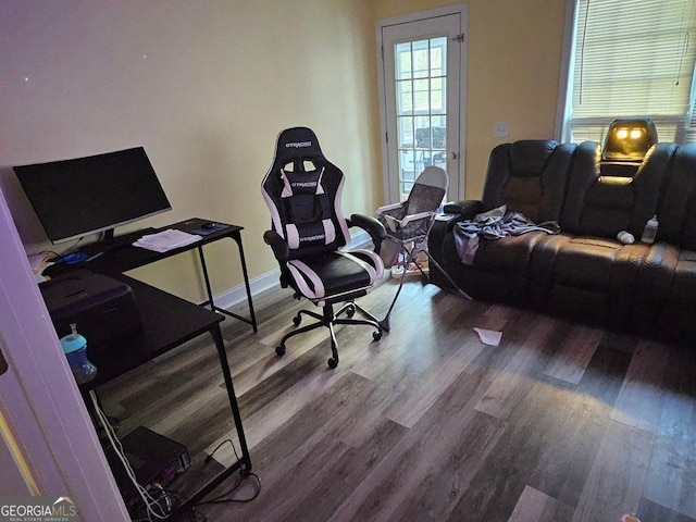 home office featuring wood-type flooring