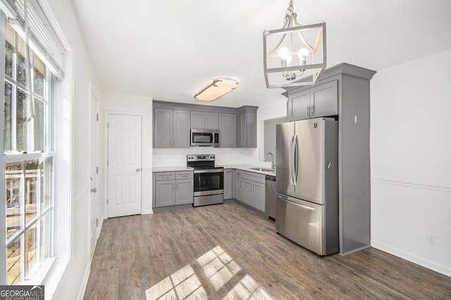 kitchen with a sink, stainless steel appliances, light countertops, and gray cabinetry