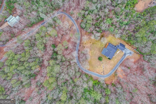 bird's eye view