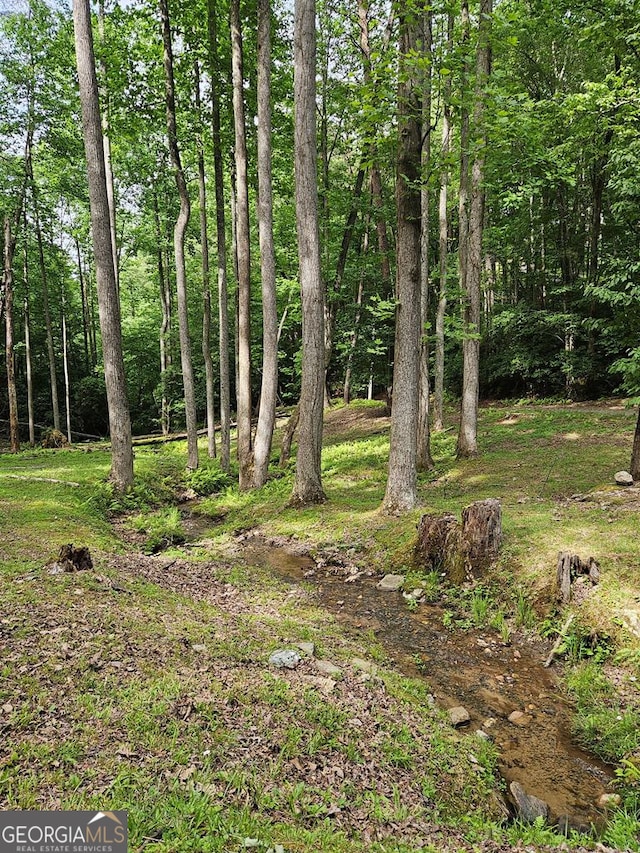 view of local wilderness