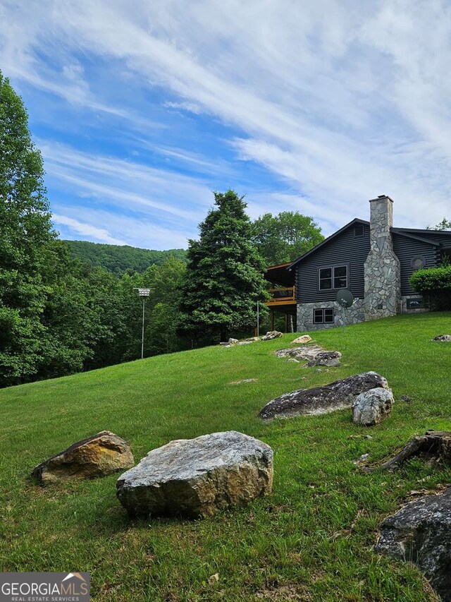 view of local wilderness